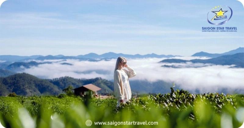Nhà gỗ Cầu Đất Farm Cafe nhìn ra đồi chè, kiến trúc gỗ độc đáo, có view đẹp để check-in và thưởng thức trà