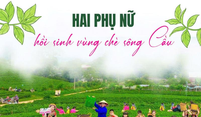 Người công nhân đang thu hoạch những búp chè non trên đồi chè Cầu Đất, minh họa một phần quy trình sản xuất trà